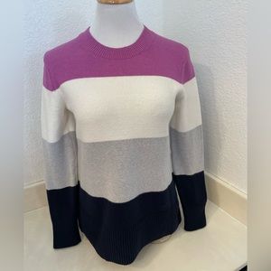 Women’s Banana Republic Sweater 
Color block Navy, Grey, Purple Ivory XS